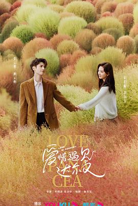 seo排名优化源码程序